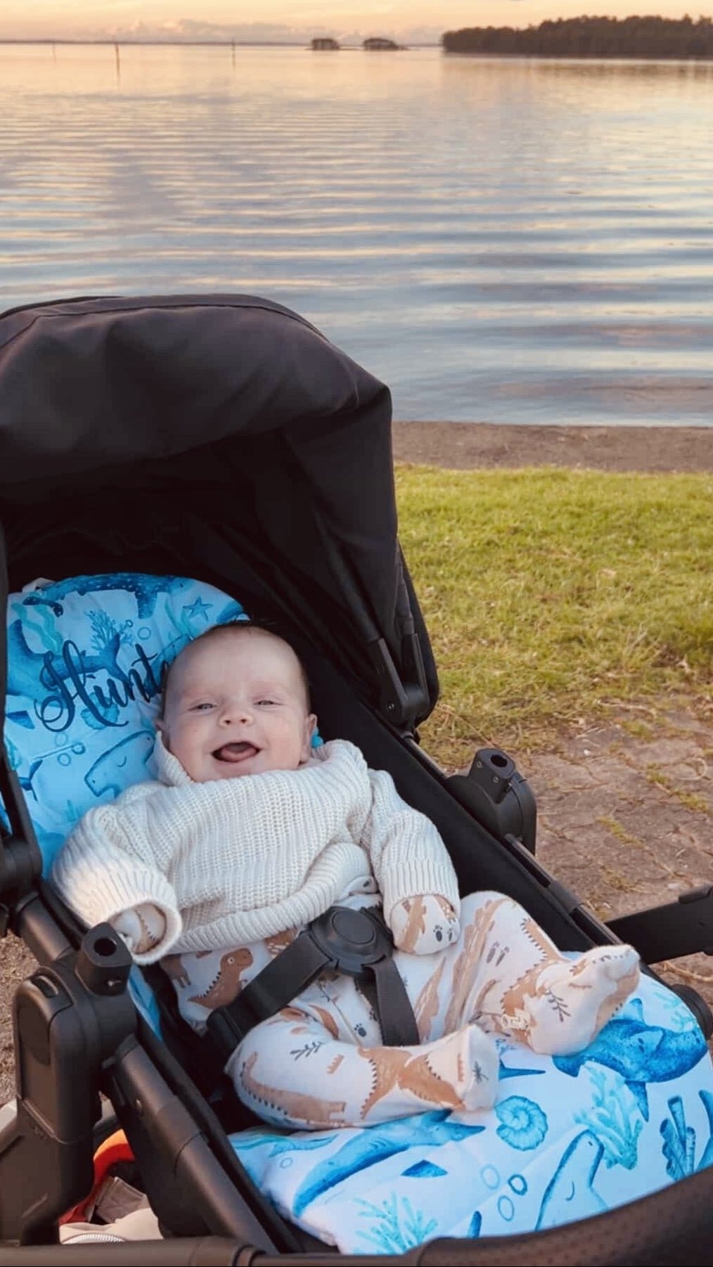 Custom Pram Liner - Butterfly Bubs